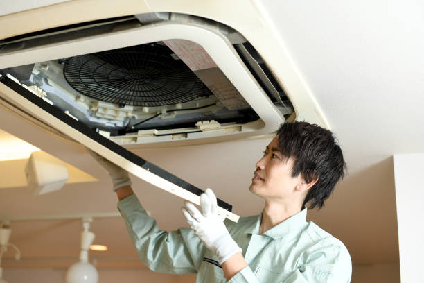 Best Affordable Duct Cleaning Services  in Lavalette, WV